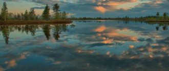 Невероятная красота Васюганских болот фото